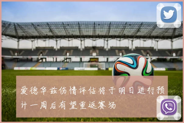 爱德华兹伤情评估将于明日进行预计一周后有望重返赛场